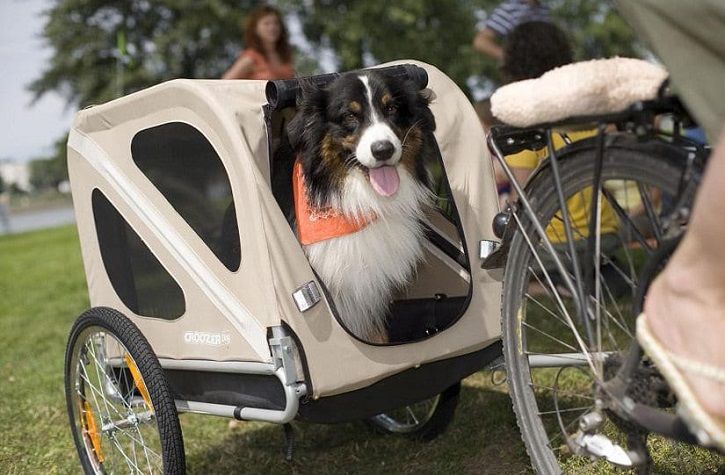 Meilleure Remorque Vélo pour Chien 2023 (Carriole) 