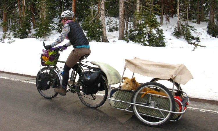 Comment faire du vélo avec des chiens en toute sécurité