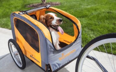 Comment faire du vélo avec des chiens en toute sécurité ?