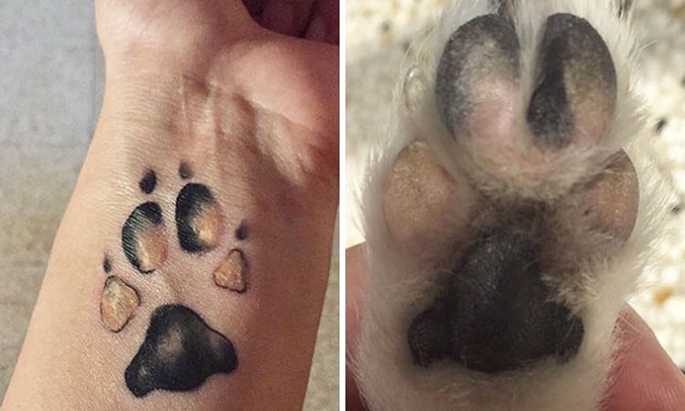 tatouage patte de chien