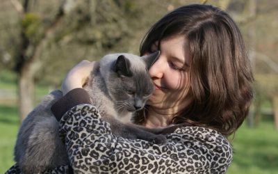 Comment améliorer la relation avec votre chat ?